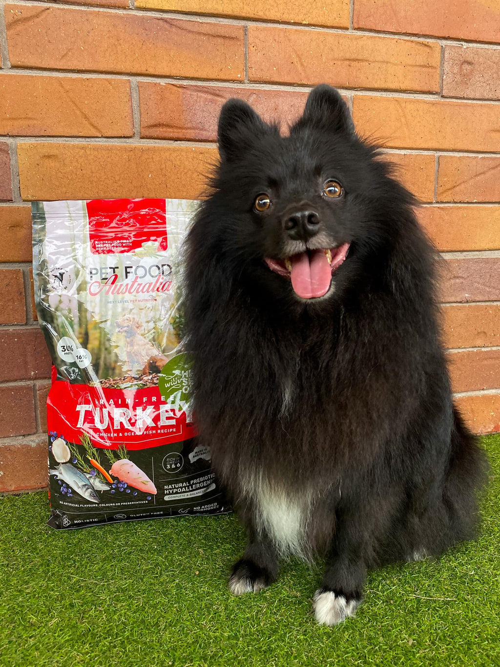 Turkey Dog Food