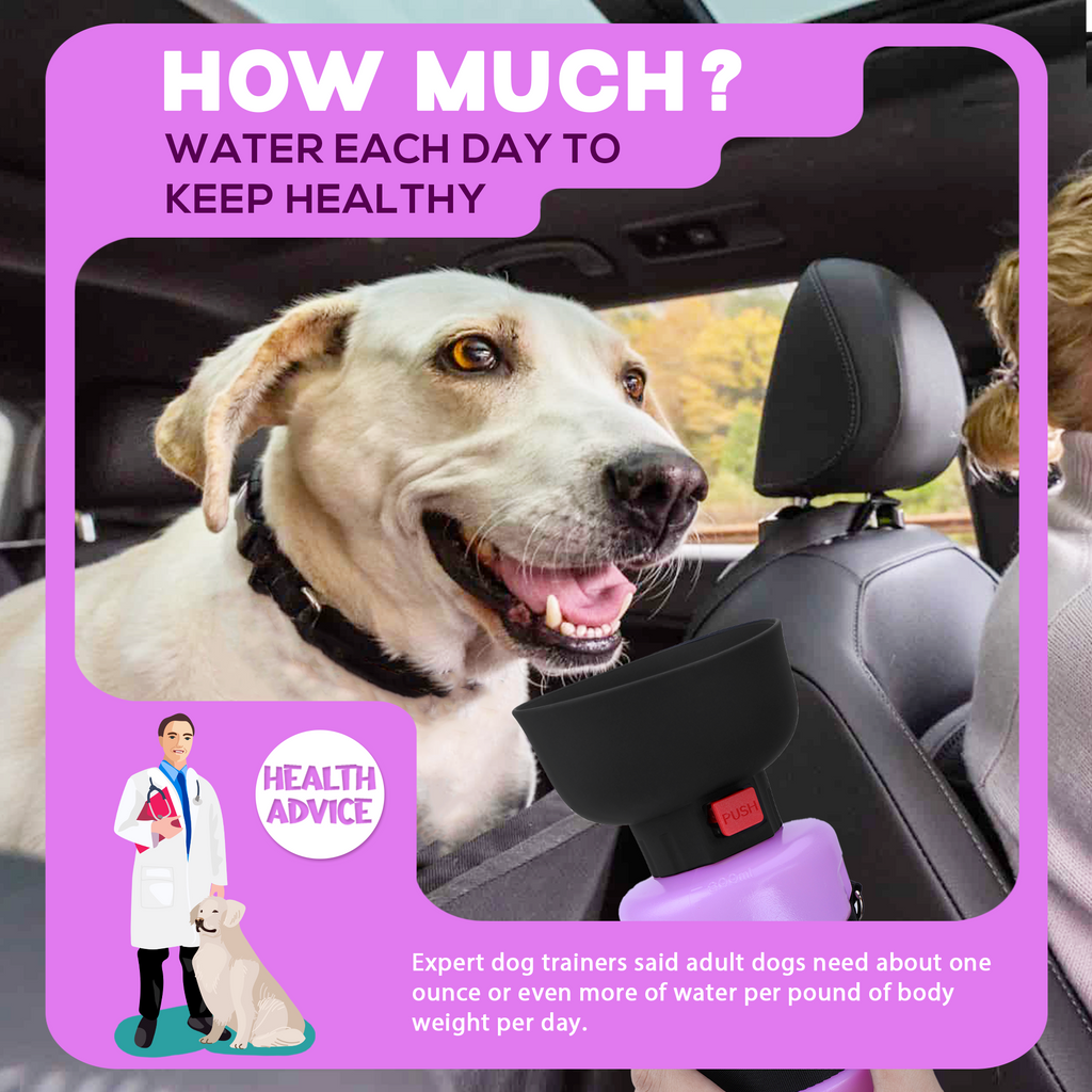28oz Portable Dog Water Bottle Dispenser-3Gen
