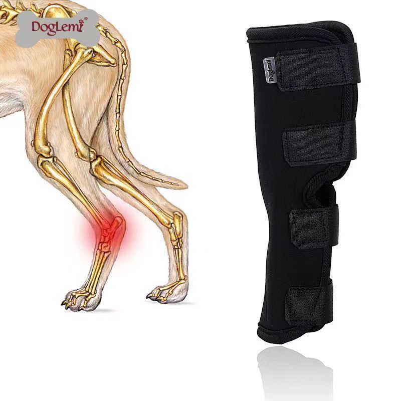 Pet Recovery Knee Brace Protective Sleeve for Dogs and Cats
