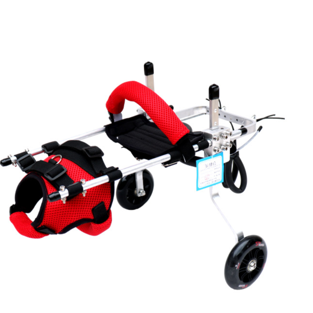 Pet little cat wheelchair