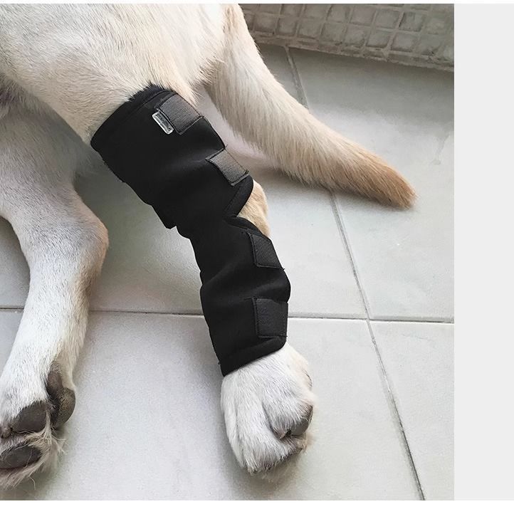 Pet Recovery Knee Brace Protective Sleeve for Dogs and Cats