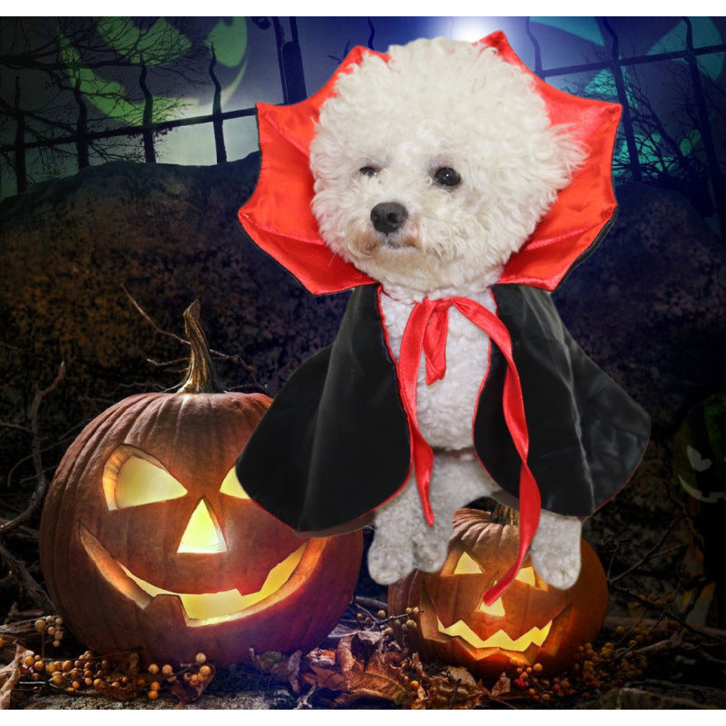 Halloween dog costume
