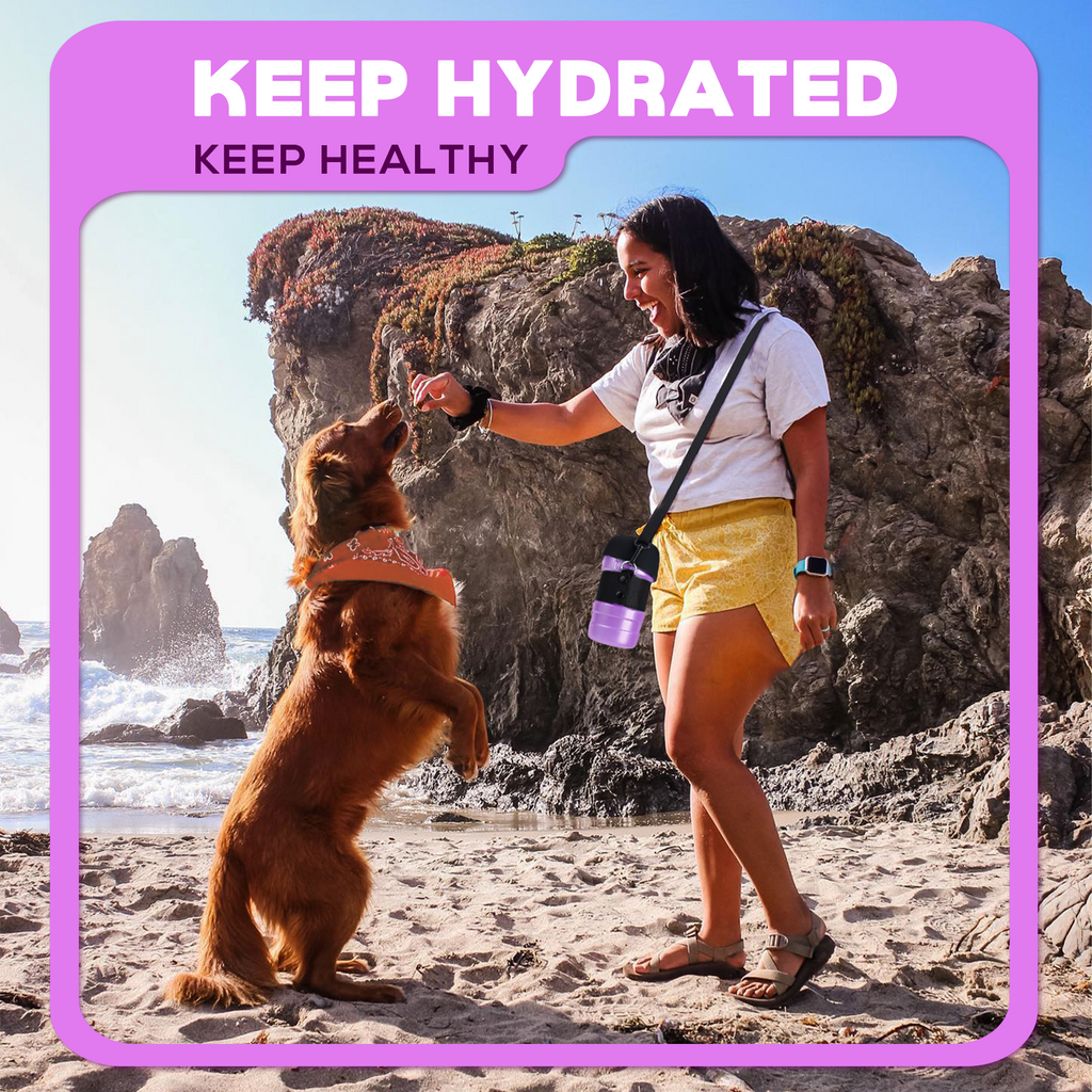 28oz Portable Dog Water Bottle Dispenser-3Gen