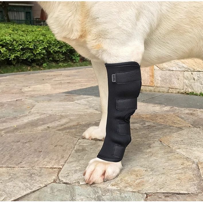 Pet Recovery Knee Brace Protective Sleeve for Dogs and Cats