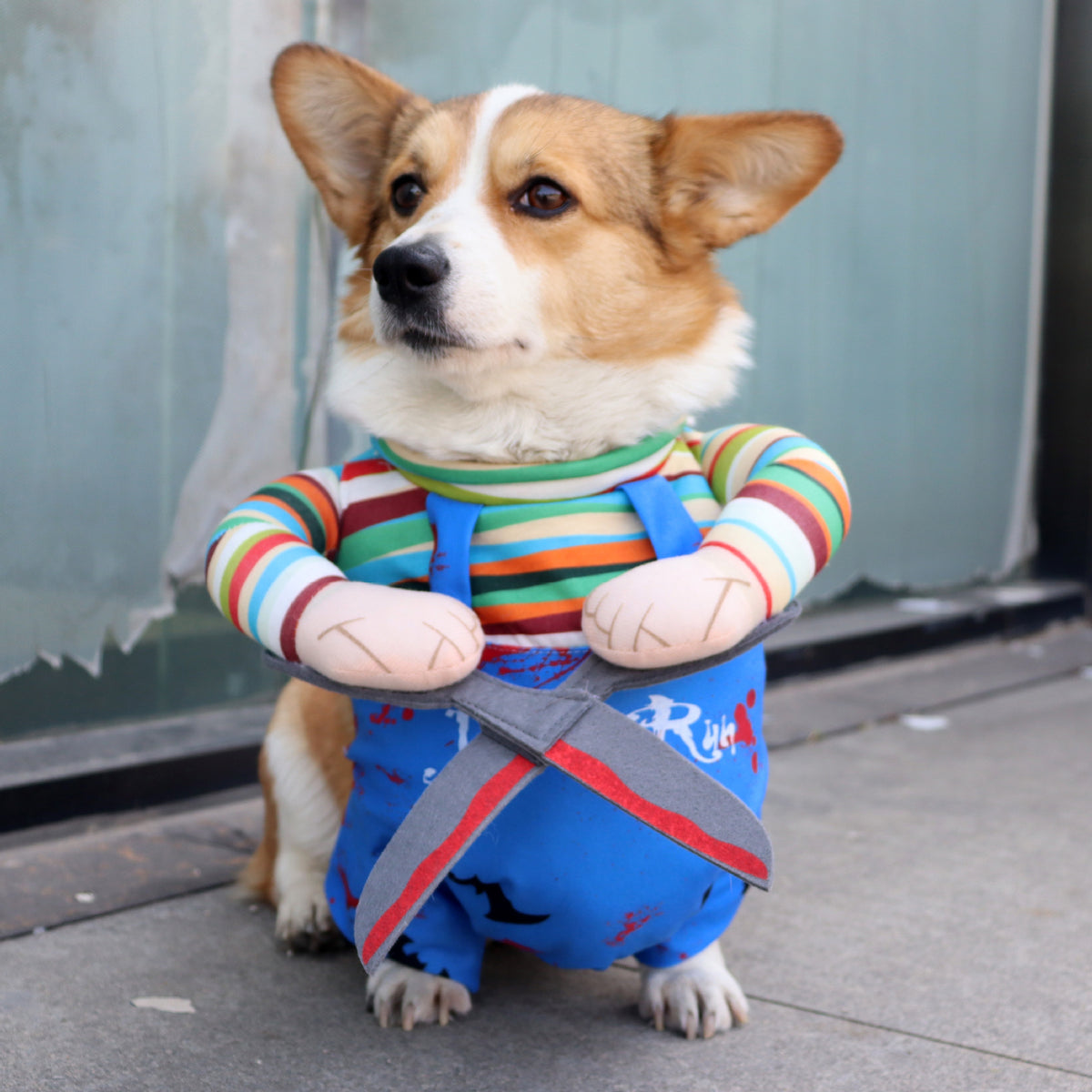 Funny Pet Halloween Costume Upright Outfit