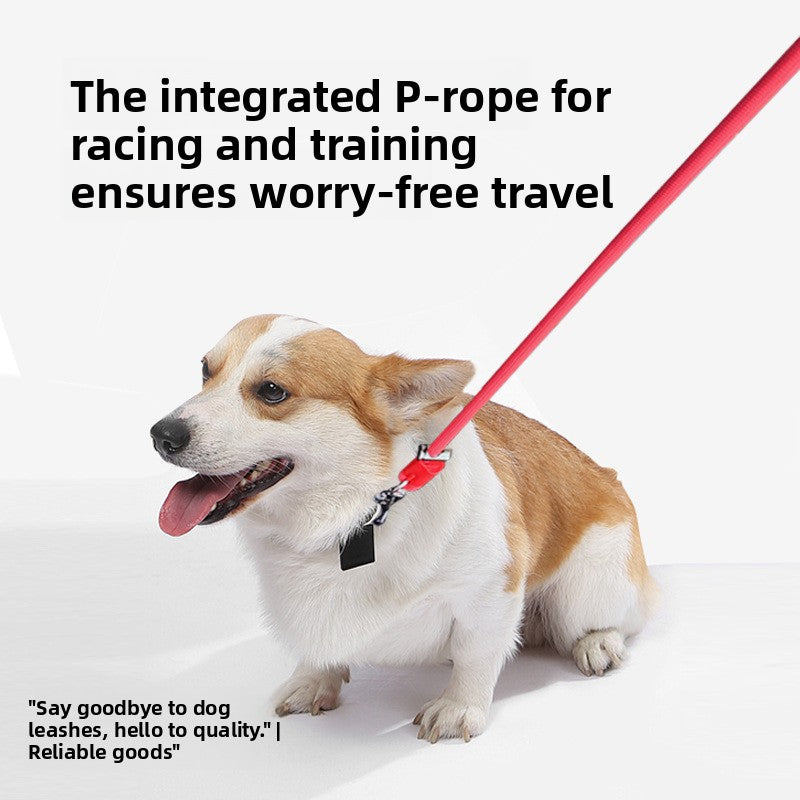 Dog traction rope multi-function dog walking rope