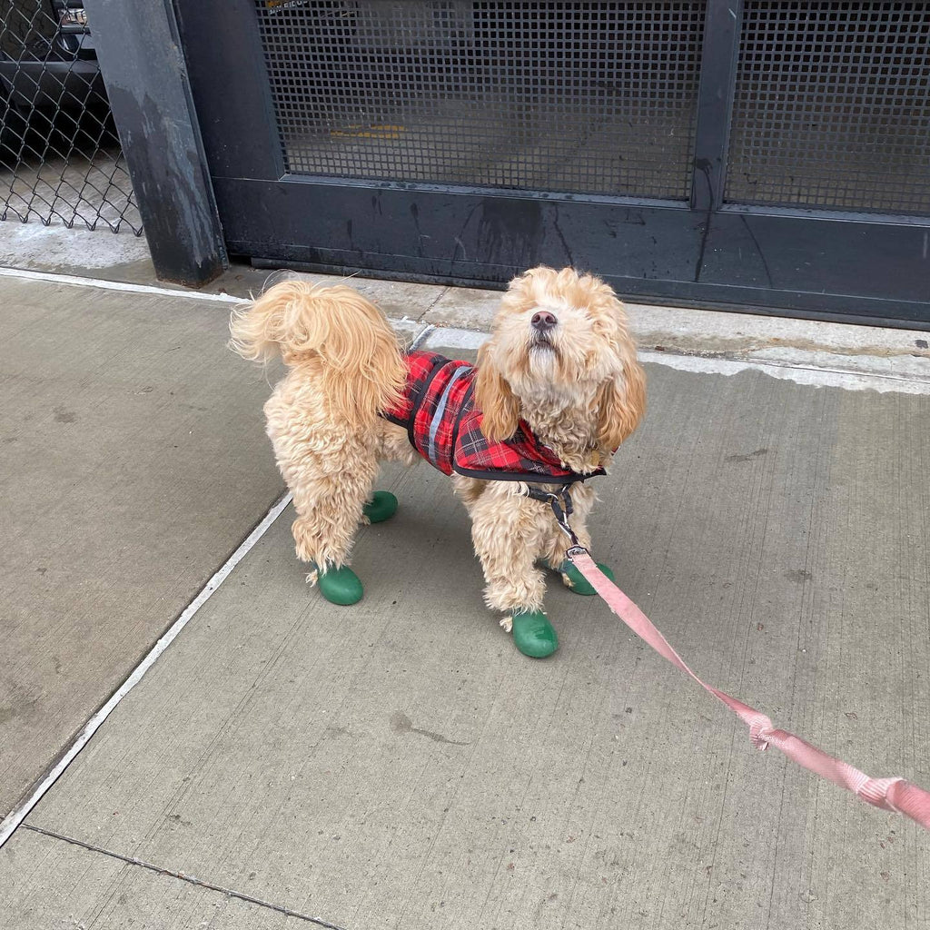 Silicone Dog Rain Boots Anti-Slip Pet Shoes