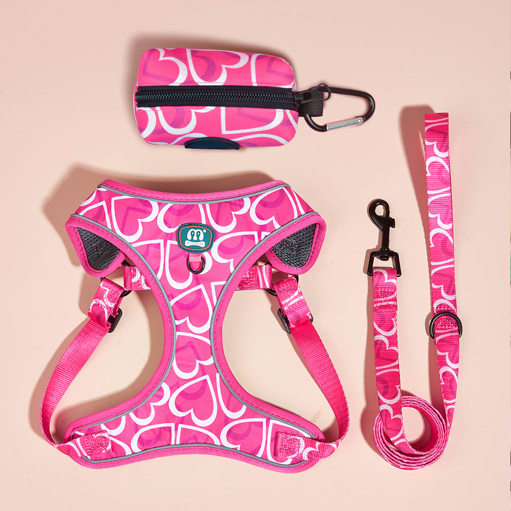 Adjustable Pet Chest Harness Leash Set