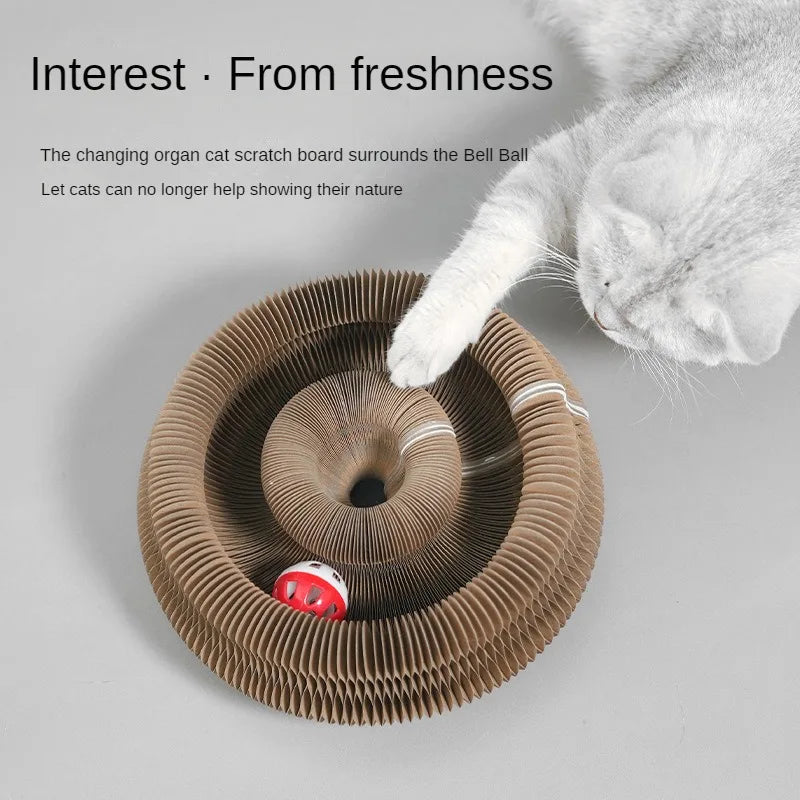 Top Hot Sale Popular Cat Toys Magic Pet Cardboard Cat Scratching Board Interactive Cat Toy Shape Change Toys Cat Scratch Toy