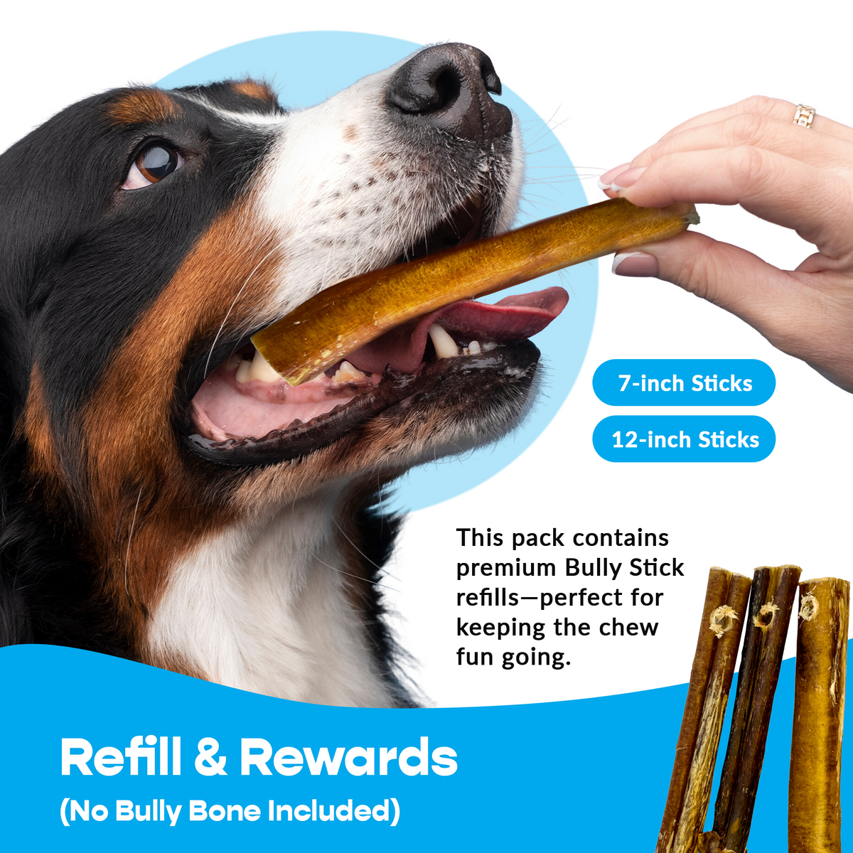 7" Thin Bully Sticks - Refill Pack