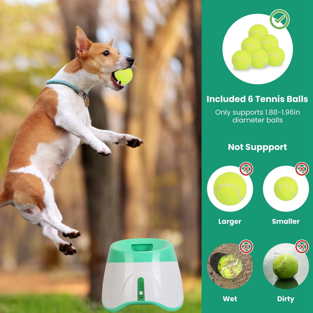 Automatic Dog Ball Launcher 6 Tennis Balls 3 Adjustable Launch Distance Interactive Ball Thrower Fetch Machine Chew Toy for Pets