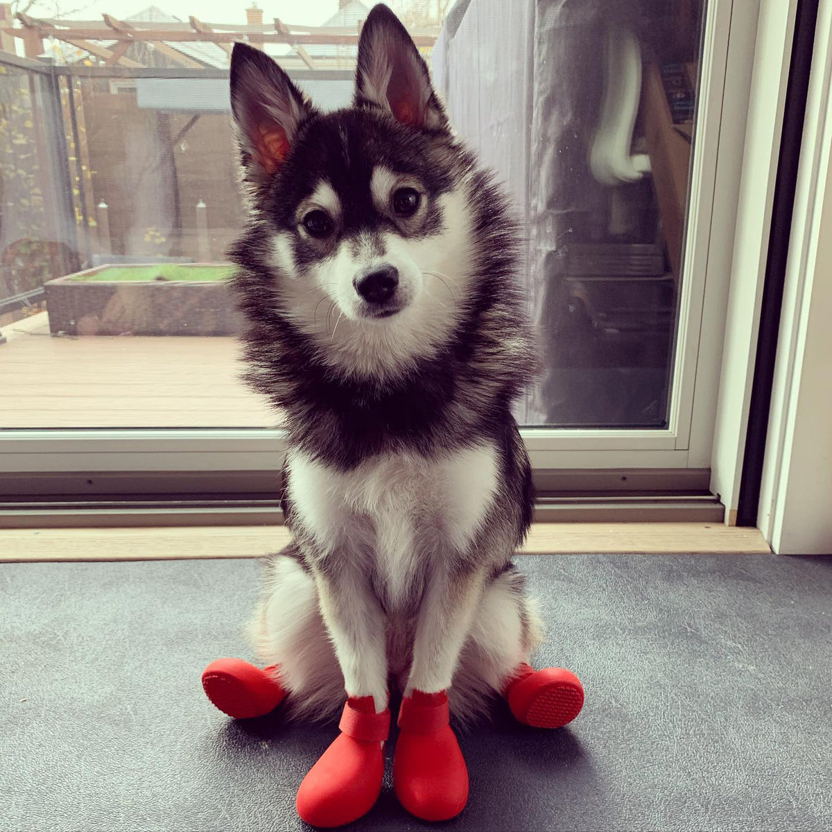Silicone Dog Rain Boots Anti-Slip Pet Shoes