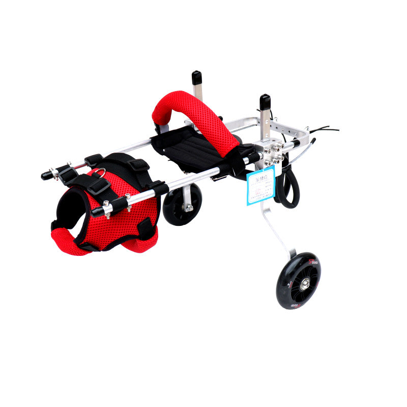 Pet little cat wheelchair