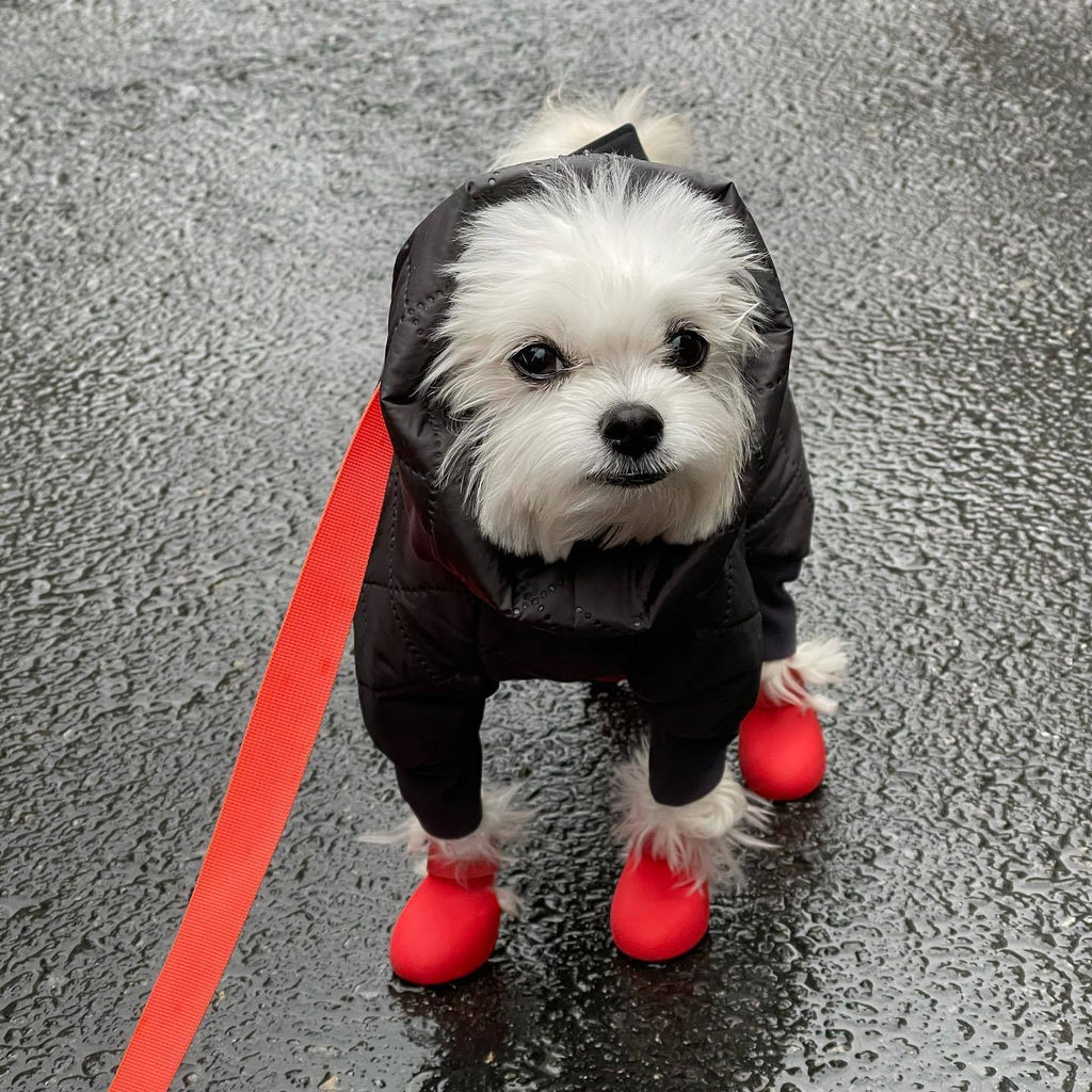 Silicone Dog Rain Boots Anti-Slip Pet Shoes