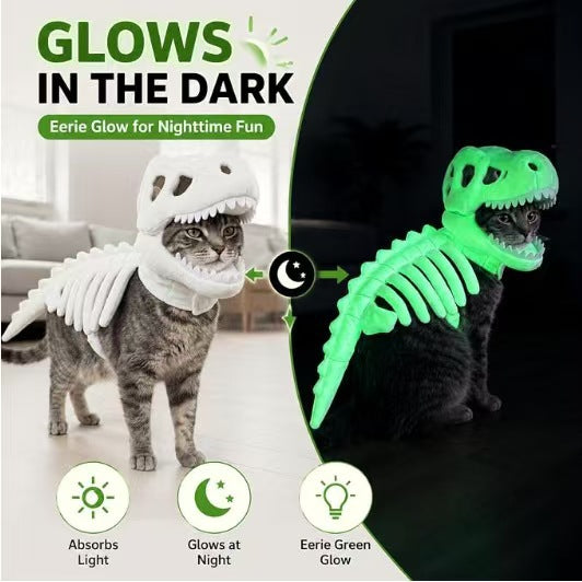 Glow in Dark Dinosaur Skeleton Pet Costume